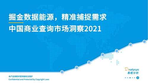 中國商業(yè)查詢市場 社會經(jīng)濟(jì)咨詢服務(wù)的機(jī)遇與前景